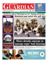 Ballymena Guardian